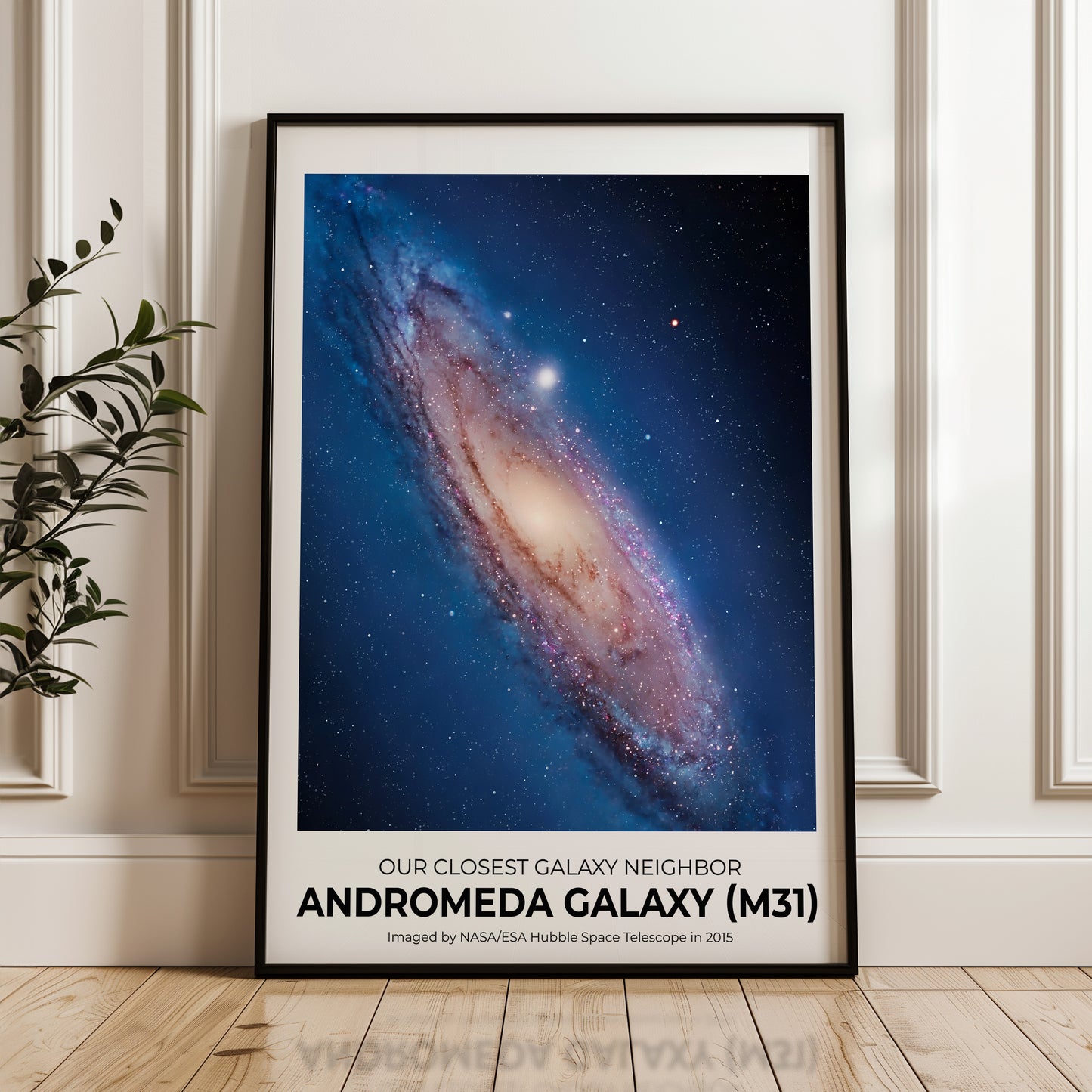 Andromeda Galaxy, Our Spiral Neighbor in the Night